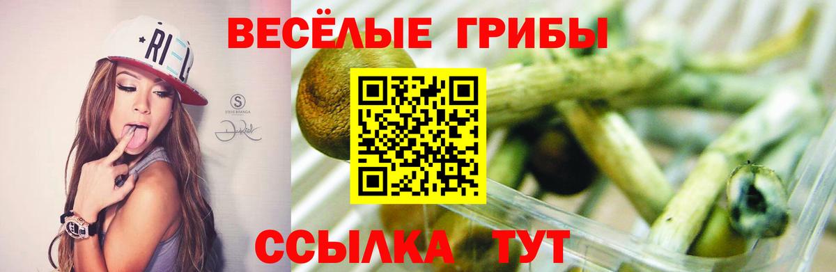 Псилоцибиновые грибы Cubensis  Псилоцибиновые грибы Psilocybine cubensis  Вход с VPN  Армавир 